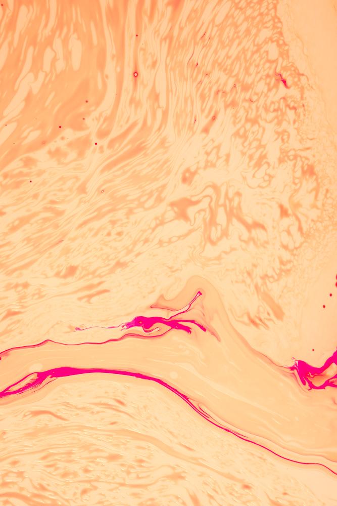 קרדיט תמונה FREEPIK