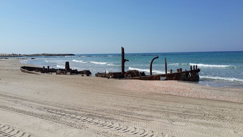 פינוי וניקוי בחופי הים(צילום: רשות מקרקעי ישראל)