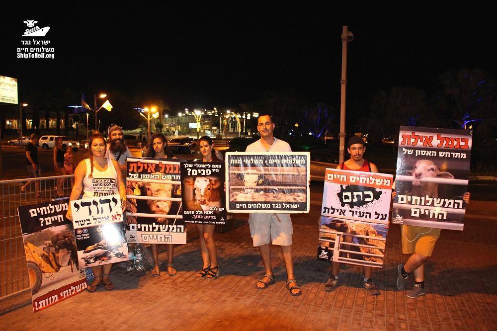 הפגנה באילת נגד המשלוחים החיים של בעלי חיים באניות. צילום: ישראל נגד המשלוחים החיים