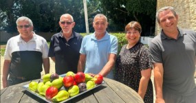 שפע פרי לקראת חגי תשרי: עונת קטיף פירות הקיץ בשיאה - ארגון מגדלי הפירות קורא לרכוש תוצרת הארץ מימין לשמאל: שי גולני, אילנה דרור, ירון בלחסן, מוטי צמיר ואורי דורמן. קרדיט: ארגון מגדלי הפירות בישראל