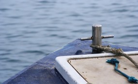 בית זרזיר: מפקחי רשות מקרקעי ישראל פינו כרם זיתים בלתי חוקי שפלש למגרשים המיועדים לשיווק למגורים Default Image