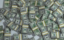 חה"כ זנדברג: "הגיע הזמן שהכנסת תקיים דיון על הר הדולרים של בנק ישראל" צילום: אילוסטרציה