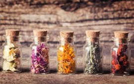 כיצד נחזק את מערכת החיסון לקראת החורף?