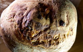 מתכון: לחם שאור עם רוקפור ערמונים ודבש לחם שאור עם ערמונים, גבינת רוקפור ודבש. צילום – מנחם גרייבסקי