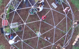 התחלה חדשה: הגן הסולארי עבר למתחם חדש הגן הסולארי