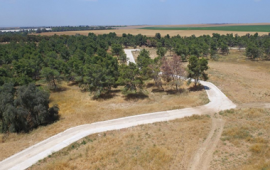 לטייל ולחגוג עצמאות בין נחלים ומדבר בדרום תמונה1 010b5