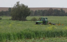 רמ"י פינתה מסיגי גבול שהשתלטו על אדמות מדינה בשטח של כ-50 דונם צילום אילוסטרציה: רשות מקרקעי ישראל