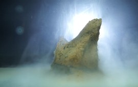 "ללא אדמה" - תערוכת יחיד חדשה של האמן יונתן גולדמן צילום: דור אבן