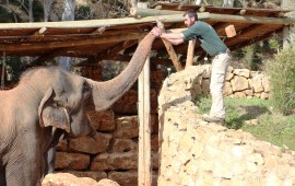 אל תחכו לחול המועד בואו עם הילדים - לכמעט פסח בגן החיות התנ"כי צילום: גן החיות התנ