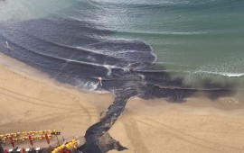 עמותת צלול: 310 אירועי ימי זיהום במצטבר בהם נאסרה הרחצה בים התיכון צילום: ניצן מתן, באדיבות עמותת צלול