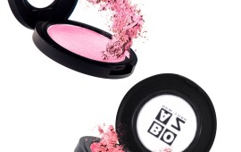 מותג האיפור בועז שטיין הרחיב את Blush - סדרת הסמקים צילום: צחי ווזאנה