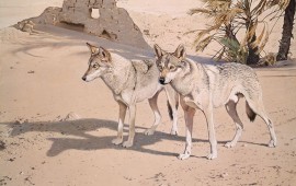 רשות הטבע והגנים: בתערוכה מציוריו של וולטר פרגסון צייר בעלי החיים יצירותיו של האמן וולטר פרגסון