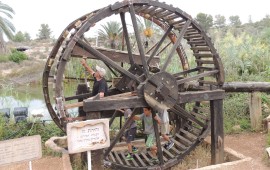 החילזון של מרדכי והבושם של אסתר - פורים בנאות קדומים צילום: נאות קדומים