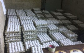 משרד החקלאות תפס הלילה בירושלים 33,000 ביצים שהוברחו משטחי הרש"פ צילום: משרד החקלאות