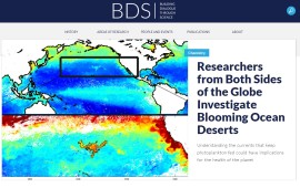 לקראת יום העצמאות: מכון ויצמן למדע מעלה לרשת אתר חדש צילום מסך של האתר החדש