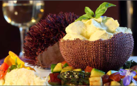 שבוע הקולינריה הצרפתי - מגיע לטבריה בסימן "מבשלים שלום" שבוע הקולינריה הצרפתי - מגיע לטבריה בסימן