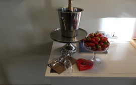 כבר פורחים נרקיסים ונפתחים הלבבות - שלל אירועים במטה יהודה האהבה פורחת - ט