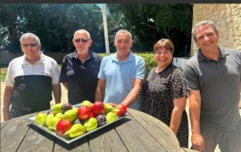 שפע פרי לקראת חגי תשרי: עונת קטיף פירות הקיץ בשיאה - ארגון מגדלי הפירות קורא לרכוש תוצרת הארץ מימין לשמאל: שי גולני, אילנה דרור, ירון בלחסן, מוטי צמיר ואורי דורמן. קרדיט: ארגון מגדלי הפירות בישראל