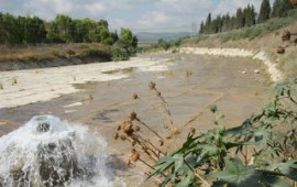 הצלחה לתכנית המים לנחל קישון: עלייה של כ- 7 ס''מ במפלס המים פתח הגלשת תוספת המים אל נחל קישון באזור עמק יזרעאל. צילום: יונתן שביט , רשות נחל הקישון