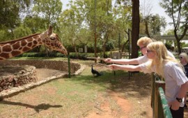 כ-160 ילדים עיוורים וילדים של עיוורים חגגו בר-מצווה בספארי כ-160 ילדים עיוורים וילדים של עיוורים חגגו היום בר-מצווה בספארי. צילום: אבי חיון