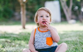 בילוי אדום מתוק לכל המשפחה - שובו של הדובדבן לבוסתן עין זיוון בגולן בוסתן עין זיוון - צילום: אלכסנדר סלזניוב