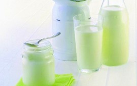 חלב עיזים - כל היתרונות הבריאותיים