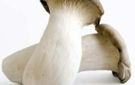 מתכון: "פטריות לוחשות" של מסעדת אלגונקווין