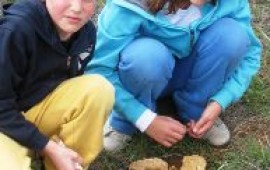 מבשרת ציון: ילדי כיתה ד' הצילו את הרקפות