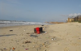 דו"ח: עלייה של 25% בסגירת חופים בשל זיהום michmoretbitch