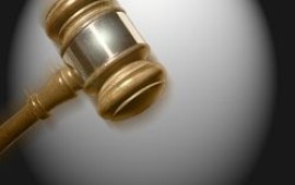 מפלגת העצמאות למען הקהילה ההומו לסבית: מחזירה לדיון את "חוק הפרשנות"