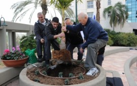 שנה אחרי אסון הכרמל: עץ לזכרו של רונן פרץ ז"ל