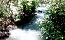 טיולים לסוכות: טיולי מים בגליל ובגולן