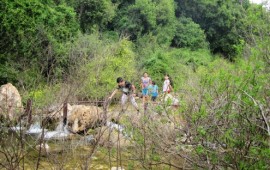 פסח בטבע: הישראלים חוזרים לטייל