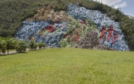 הסביבה העירונית שלנו זקוקה לכמה שיותר ציורי קיר ציורי קיר