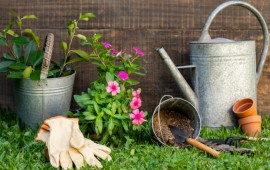 גלו את קסמו של הטוף לגינה קרדיט לתמונה Freepik