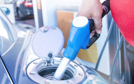 דלקן - הברקה ישראלית קרדיט תמונה FREEPIK