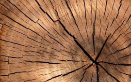 מזונית י.ש.ר.ל - ייבוא ולוחות לתעשייה