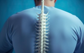 מתי נפנה לכירופרקט מומחה קרדיט לתמונה Freepik