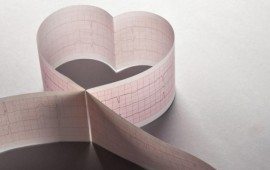 10 סיבות נפוצות לעשות הולטר לב קרדיט תמונה FREEPIK