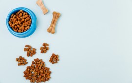 מזון יבש לכלבים הוא בדיוק מה שהכלב שלכם רוצה! קרדיט לתמונה Freepik