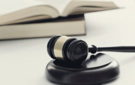 איך לבחור ליטיגטור שמתאים לכם? קרדיט תמונה FREEPIK