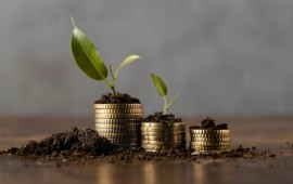 החשיבות של דוח שמאי מקרקעין קרדיט תמונה FREEPIK