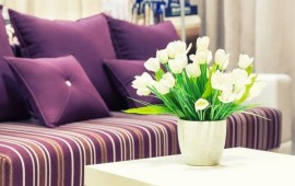 אוהבים לארח? ספה נפתחת למיטה כבר יש לכם? ספה נפתחת